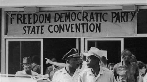 Freedom Summer Bild 2