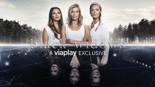 Black Widows Bild 1