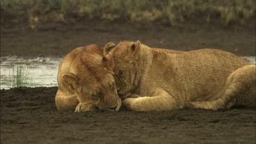 Creative Killers Bild 3