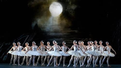 Royal Opera House: Swan Lake Bild 1