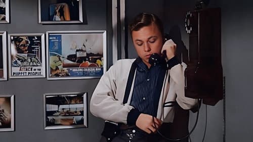 Die Rache der schwarzen Spinne Bild 1