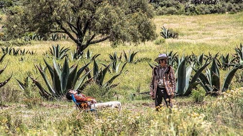 Me gusta, pero me asusta Bild 1