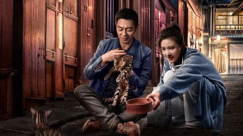 赖猫的狮子倒影 Bild 2