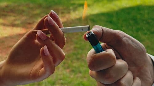 And it Begins Bild 3