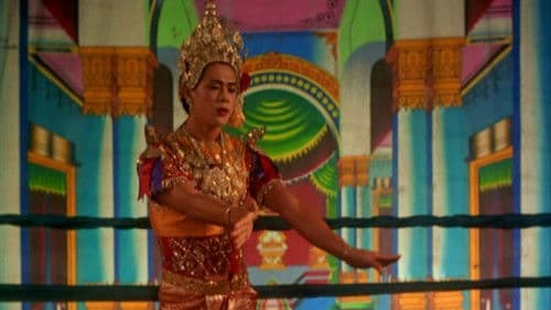 Beautiful Boxer Bild 2