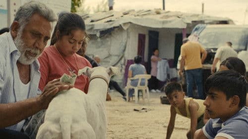 Ciudad sin sueño Bild 2