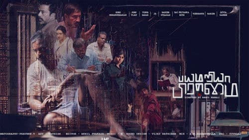 பயமறிய பிரம்மை Bild 2