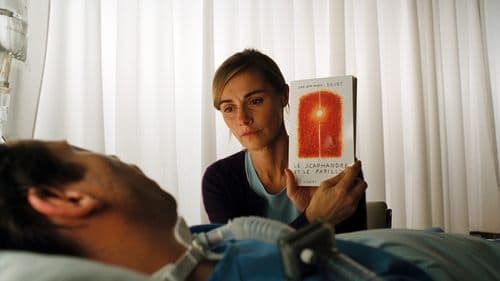 Schmetterling und Taucherglocke Bild 2