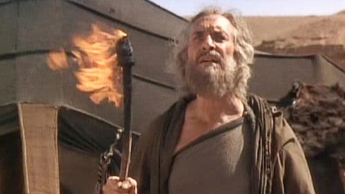 Die Bibel - Josef Bild 8