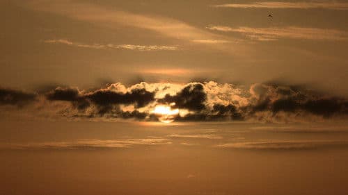 The Day: The Movie Bild 1