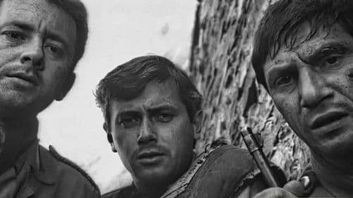 Zwariowana noc Bild 5