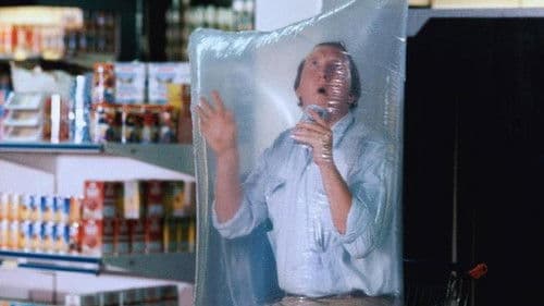 Die Senkrechtstarter Bild 1