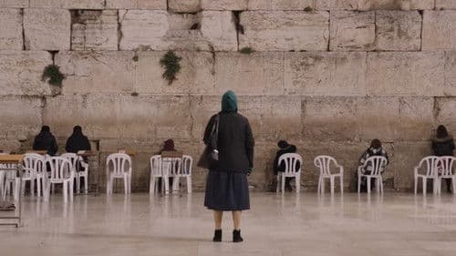 פינק ליידי Bild 7