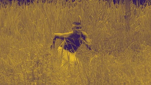 Memória: História é filme, não é foto. Bild 1