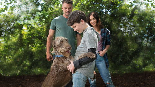 Denke wie ein Hund Bild 6