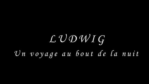 Ludwig: Un voyage au bout de la nuit Bild 1