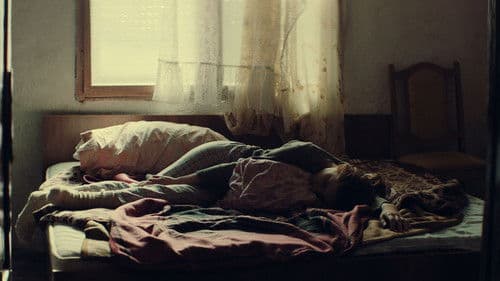 Në kërkim të Venerës Bild 4