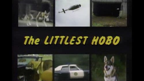 The Littlest Hobo Bild 4