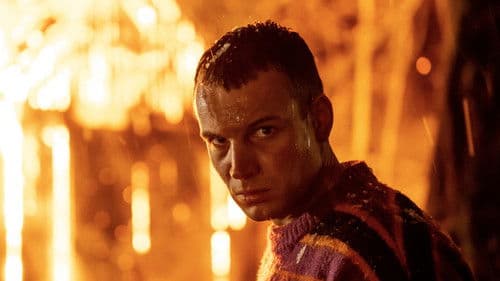 Der Wald in mir Bild 1