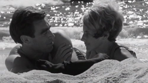 Im Busch von Mexiko Bild 1