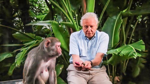 Tierische Evolution mit David Attenborough Bild 4
