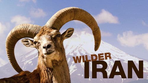 Wilder Iran Bild 1