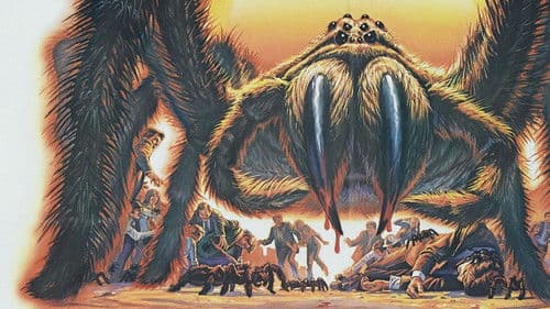 Mörderspinnen Bild 3