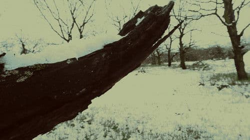 A Hall of Mirrors Bild 1