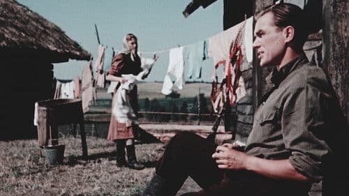 Valgus Koordis Bild 1