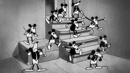 Ist die Katze aus dem Haus ... Bild 5