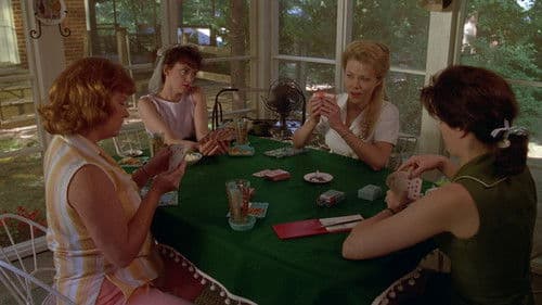 Zauber eines Sommers Bild 5