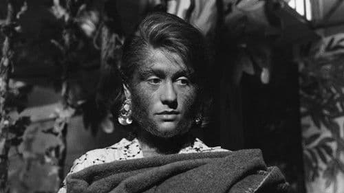 La donna scimmia Bild 1