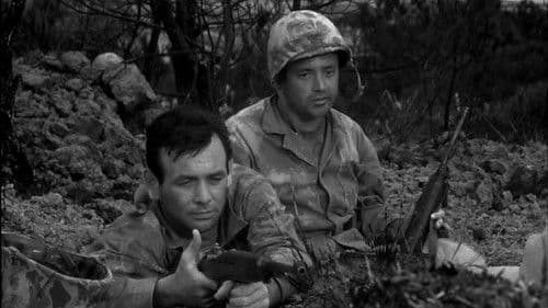 Stoßtrupp Saipan Bild 8