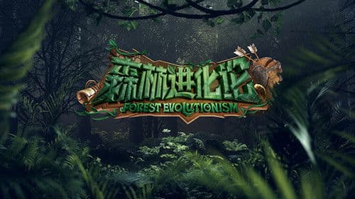 森林进化论 Bild 2