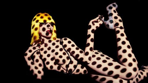 Totally Crazy Bild 1