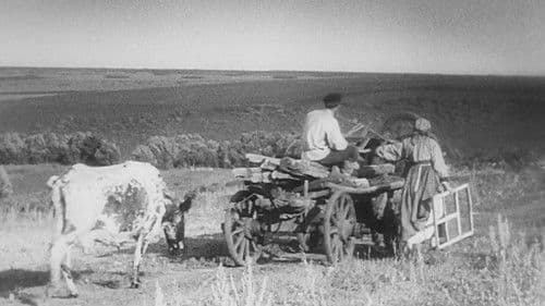 Die Generallinie Bild 4