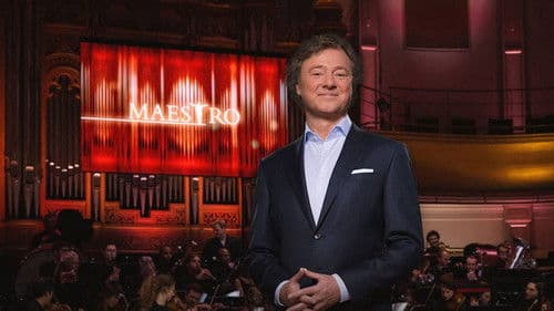 Maestro Bild 2