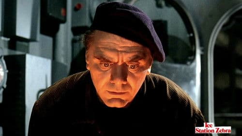 Eisstation Zebra Bild 6