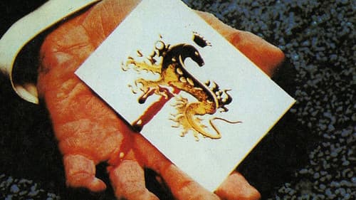 Kennwort: Salamander Bild 4