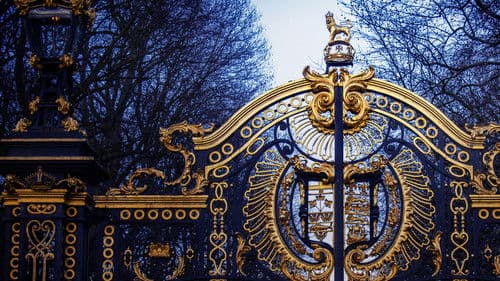 Charles: Der neue König hautnah Bild 2