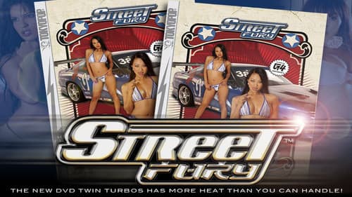 Street Fury: Twin Turbos Bild 1