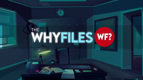 The Why Files Bild 1
