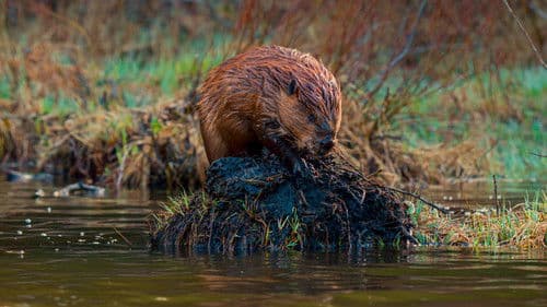 The American Southwest Bild 1