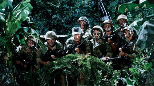 Türkler Çıldırmış Olmalı Bild 1