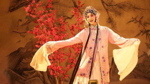 那年花开月正圆 Bild 5