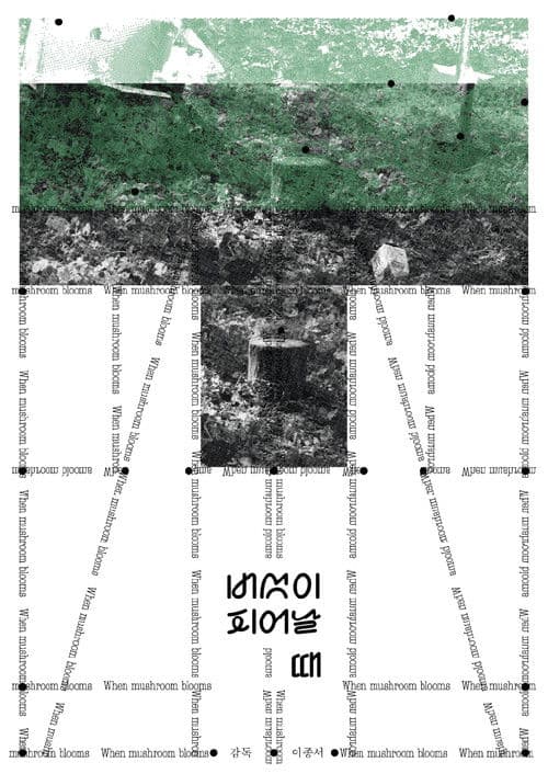 버섯이 피어날 때
