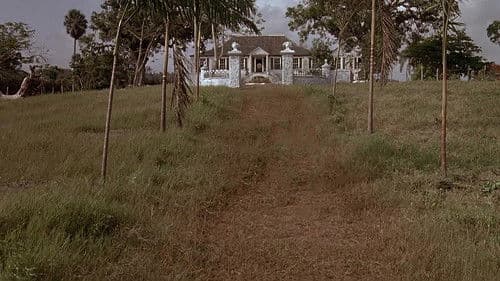 Sargasso - Im Meer der Leidenschaft Bild 1