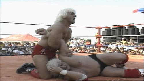 Mid-South WrestleFest '85 Bild 1
