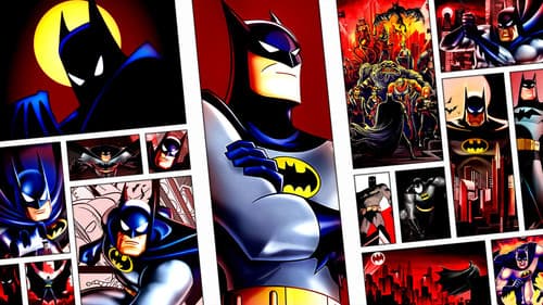 The Dark Knight's First Night Bild 1