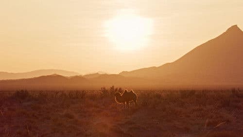 Tierische (R)Evolution Bild 1